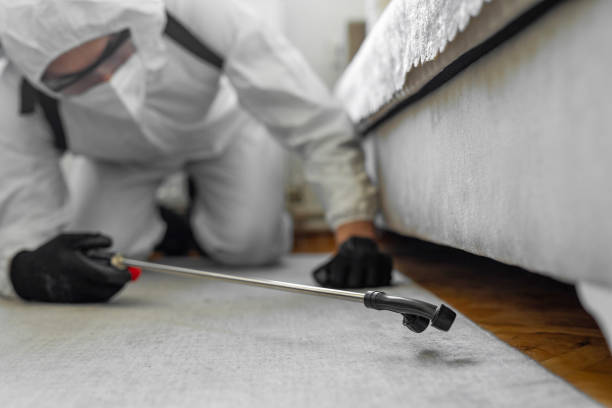 Professional Pest Control technician working in Canton, PA